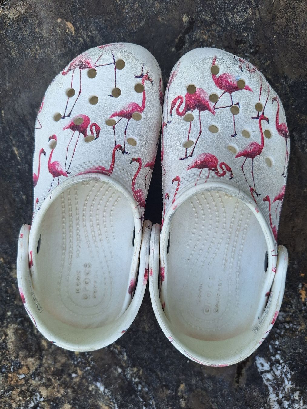 Crocs Scarpe per ragazze: Crocs 29-30 mit Flamingo – Usato da Frutigen venduto da Autoflitzer 5