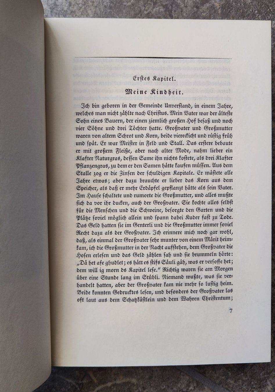 Bücher: Gotthelf, gesamtes Werk, Lederrücken – Gebraucht aus Lenzburg von Dani_Lenzburg 8