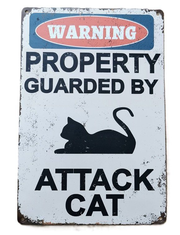 Schilder: WARNING, CAT  - Blechschild  (neu/OVP) – Neu und originalverpackt aus Wilen b. Wollerau von morethanmusic