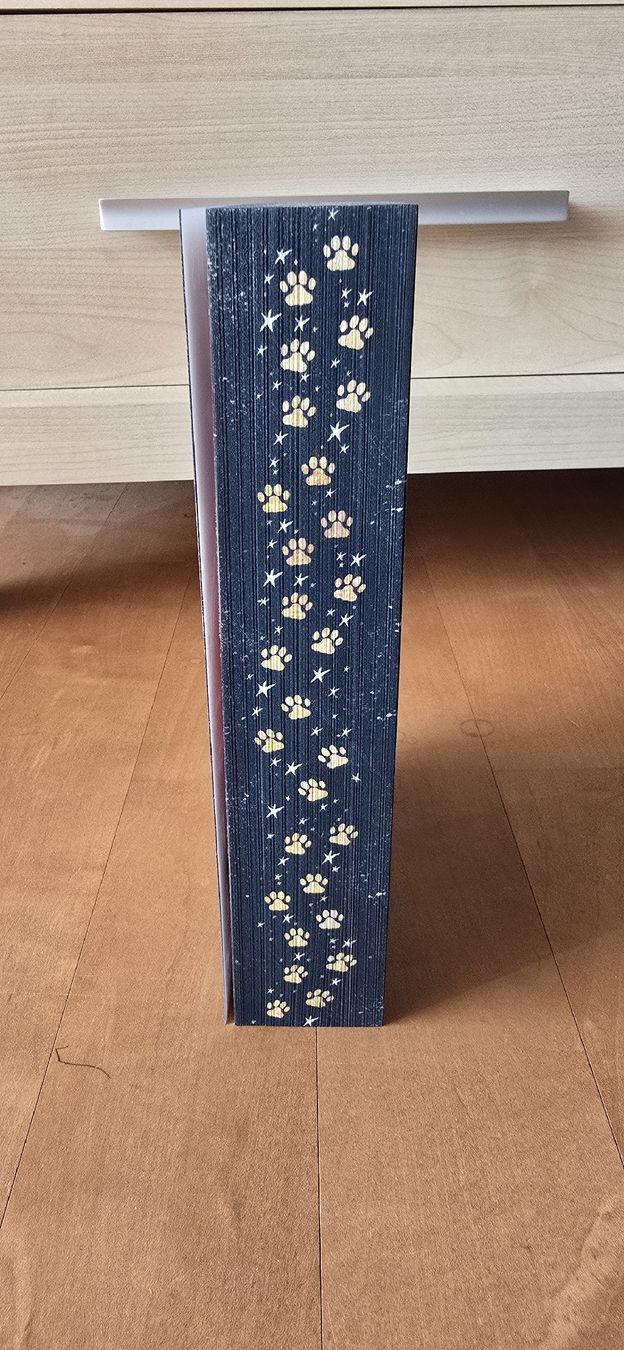 Libri: Traumjäger und Goldpfote – Nuovo (secondo la descrizione) da Schöftland venduto da Demndy 2