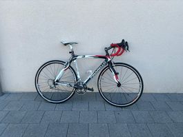 Pinarello fp3 campagnola carbon