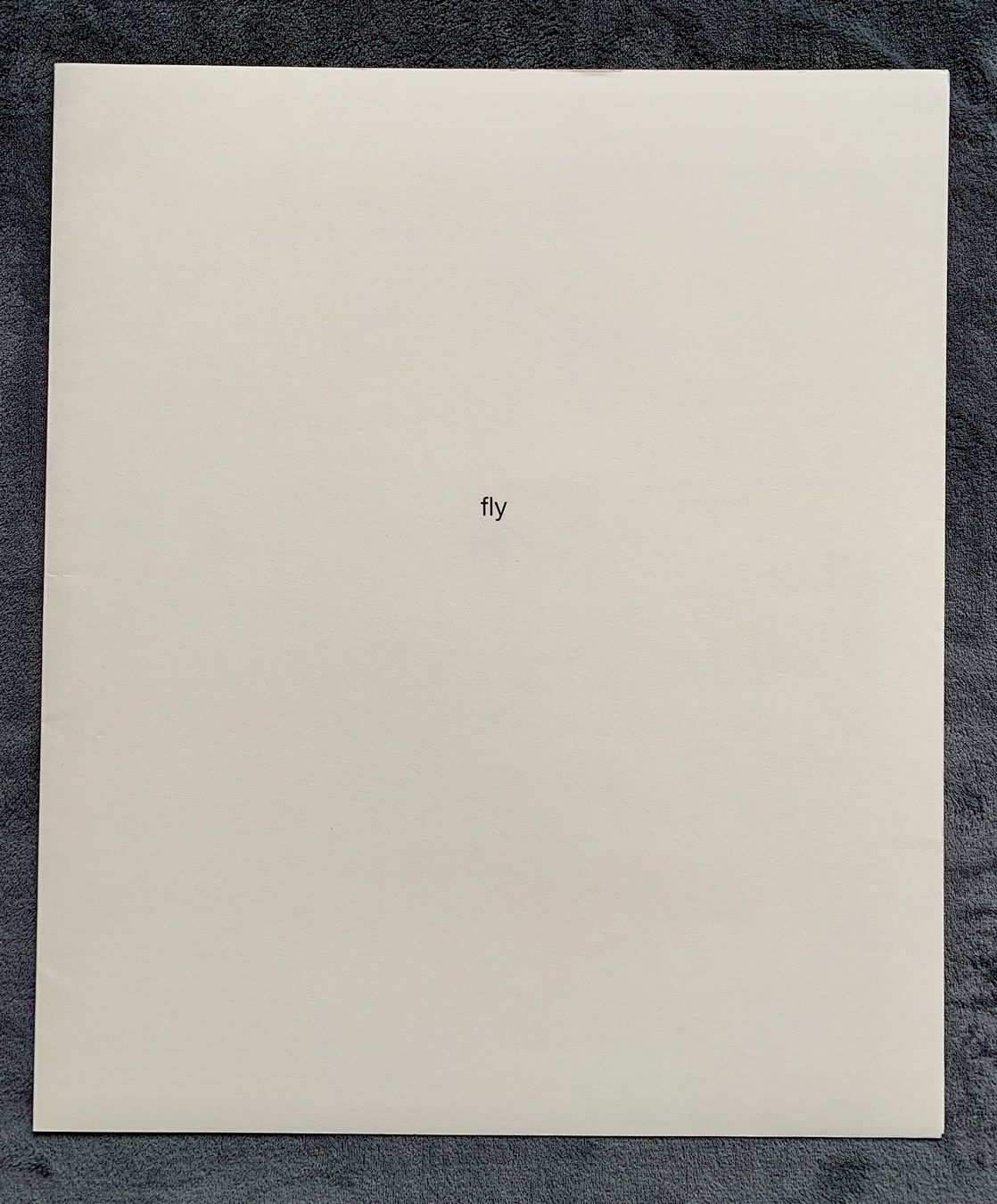 Grafica & Litografie: Kiki Smith – Lithographie Fly – Usato da Regensdorf venduto da JoergR 5