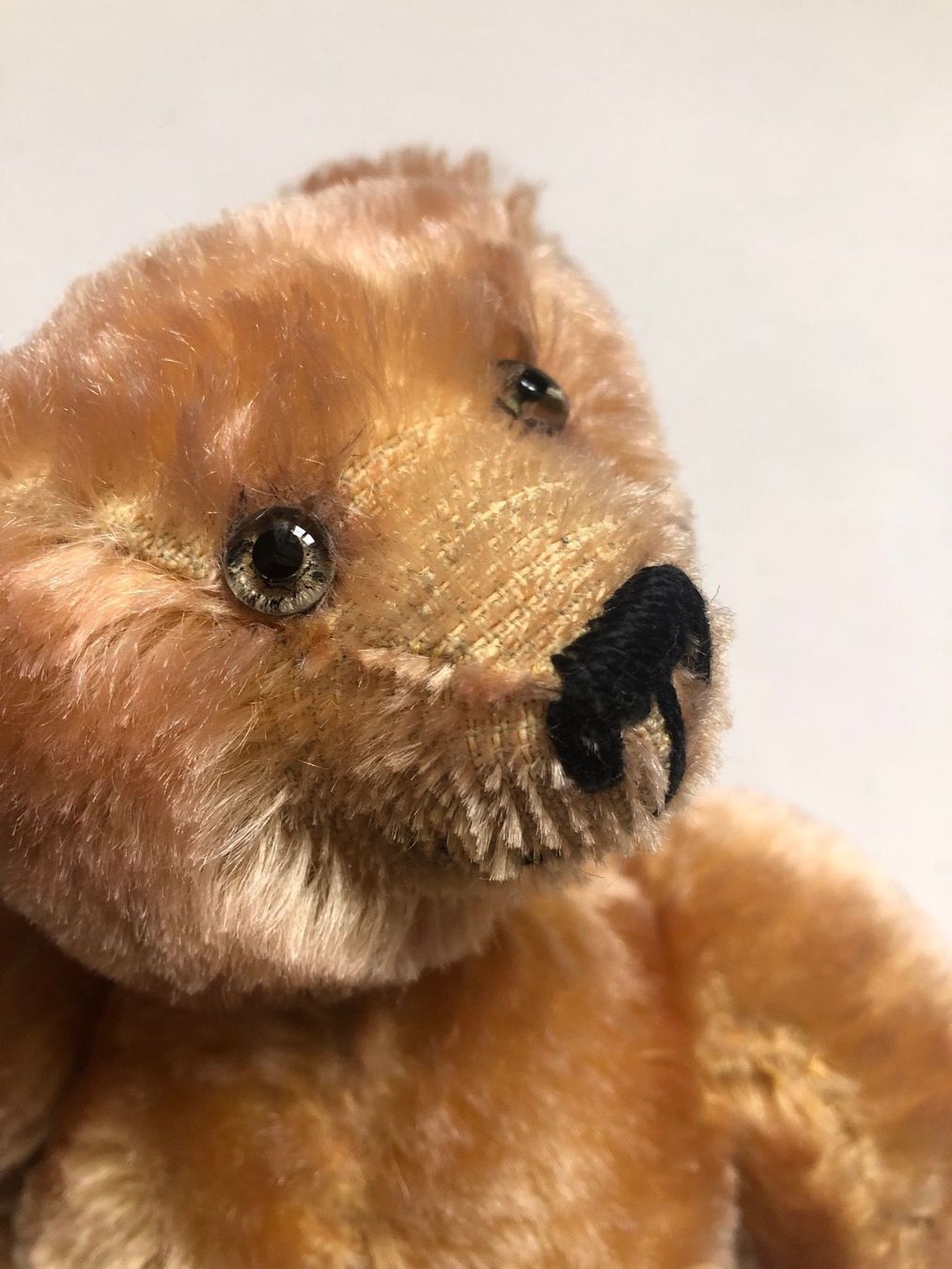 Spielzeuge: Ours en peluche – Gebraucht aus Arnex-sur-Orbe von cameleonfringant 5