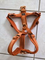 HUNDE HALSBAND / HUNDELEINE - HALTEGURT