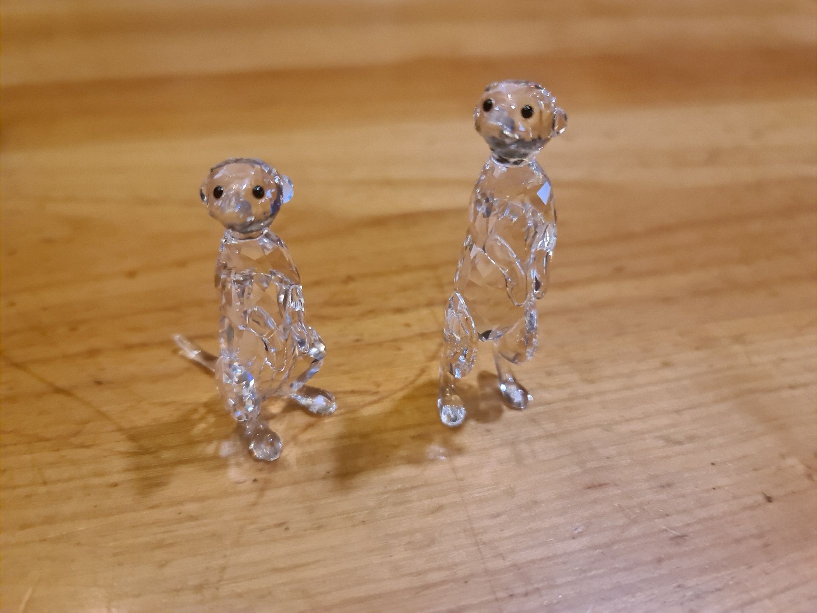 Swarovski Figuren: Swarovski Figur Erdmännchen Originalverpackt – Neu (gemäss Beschreibung) aus henau von Rockj