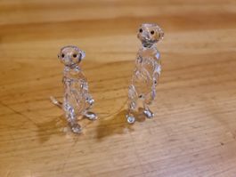 Swarovski Figur Erdmännchen Originalverpackt