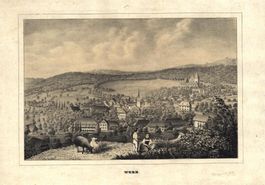 Worb Tonlithographie um 1860 sehr selten