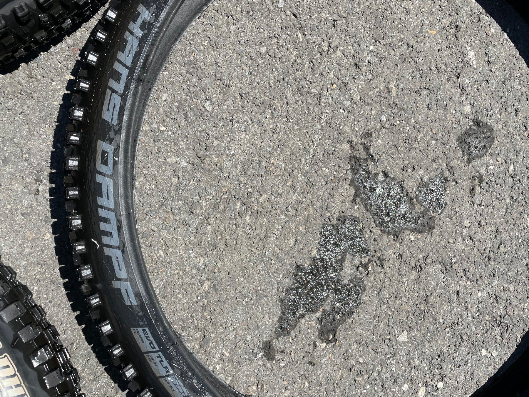 Pezzi di ricambio: MTB- Reiffen – Nuovo (secondo la descrizione) da Sargans venduto da 1windi3 1