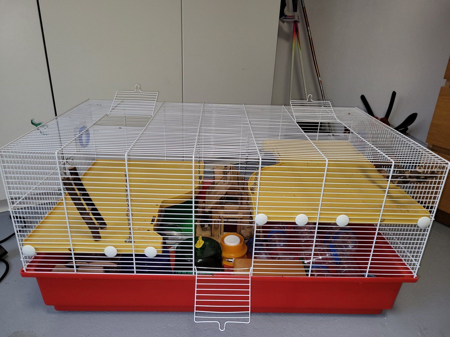 Gabbie, trasporto & Sicurezza: Cage pour rongeurs – Usato da Cernier venduto da Casimir1
