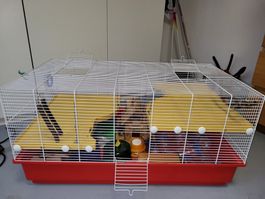 Cage pour rongeurs