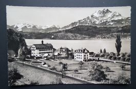 Luzern - SeeburgThe Politechnic Chalets  Ansichtskarte n.G.