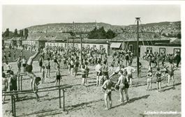 Zürich - Schwimmbad + ca. 1925 TOP