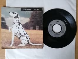 Animal Logic - There's A Spy, Single Schallplatte, 80er