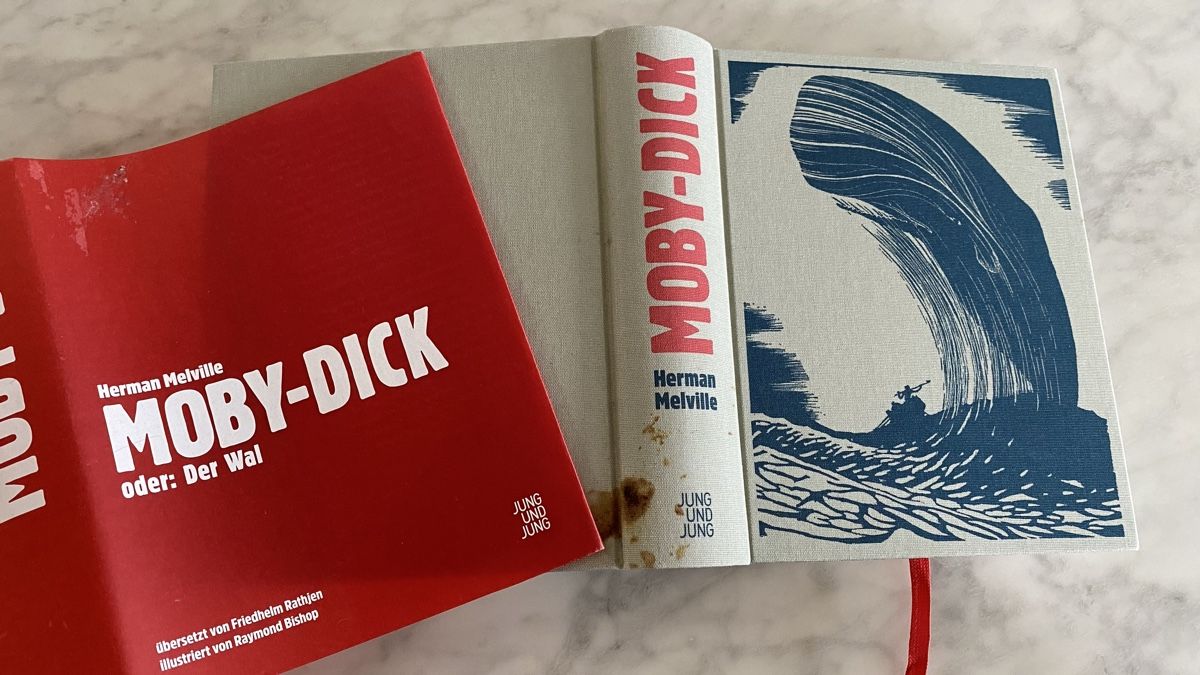 Bücher: Moby-Dick - Illustrierte Ausgabe, Herman Melville – Gebraucht aus Glattpark (Opfikon) von anywaya23 6