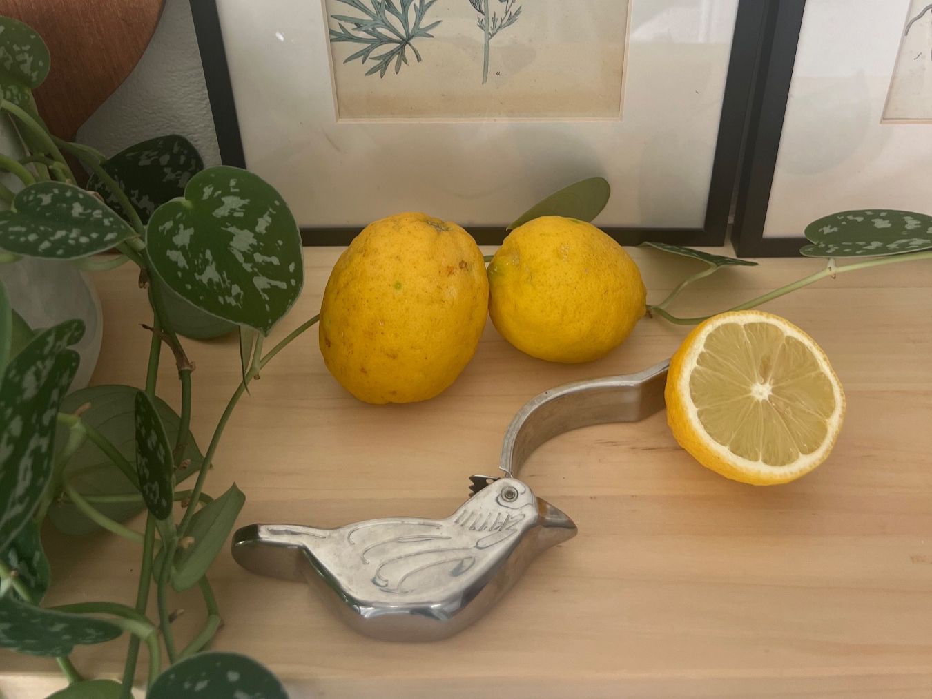 Tutte le decorazioni: Vintage lemon press – Usato da Zürich venduto da Zurich_TimeCapsule 2