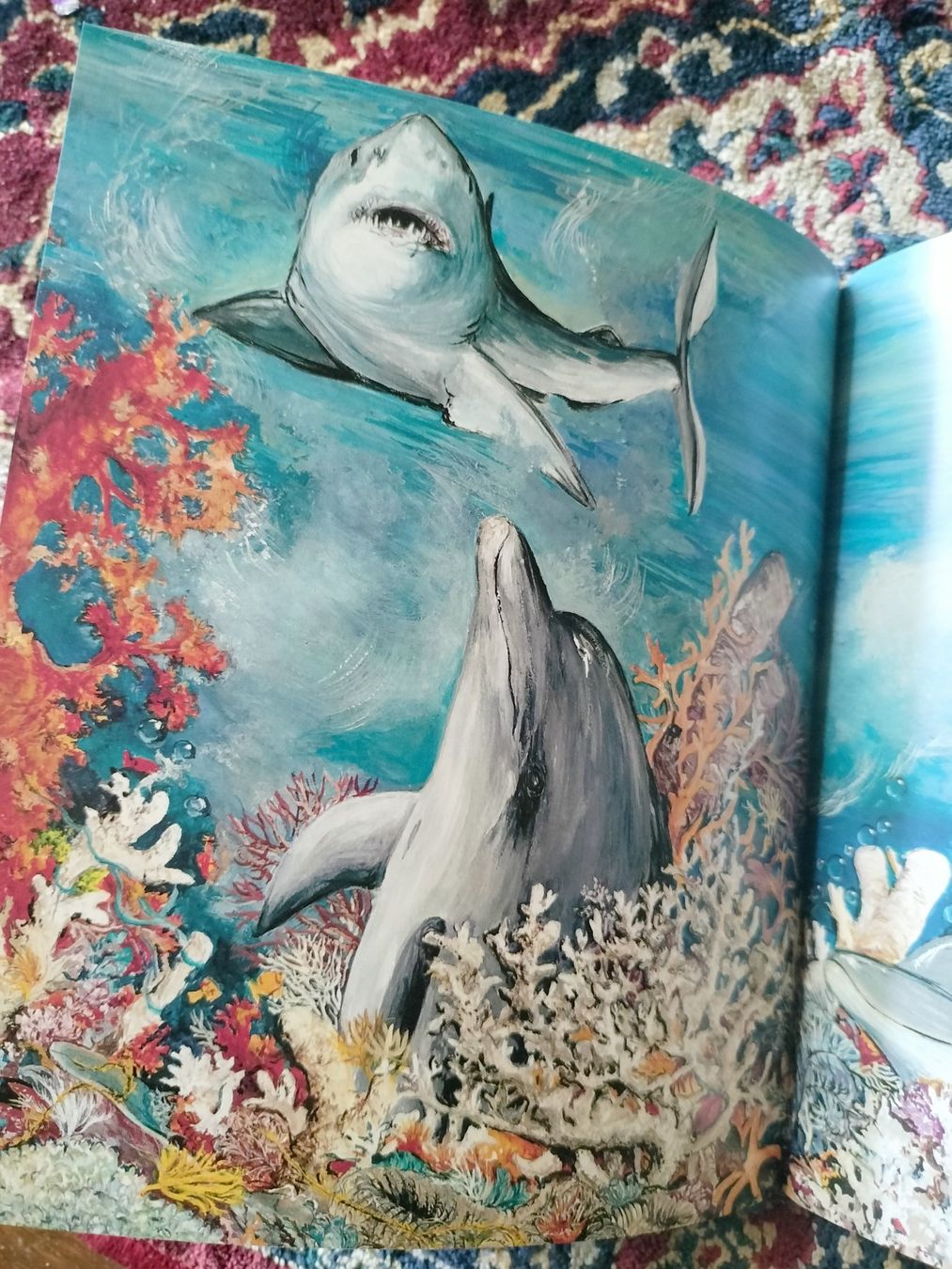 Libri: Le Dauphin Mymi Doinet Nathan – Usato da Cortaillod venduto da rozinna 4