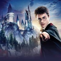 Harry Potter’s Zauberstab
