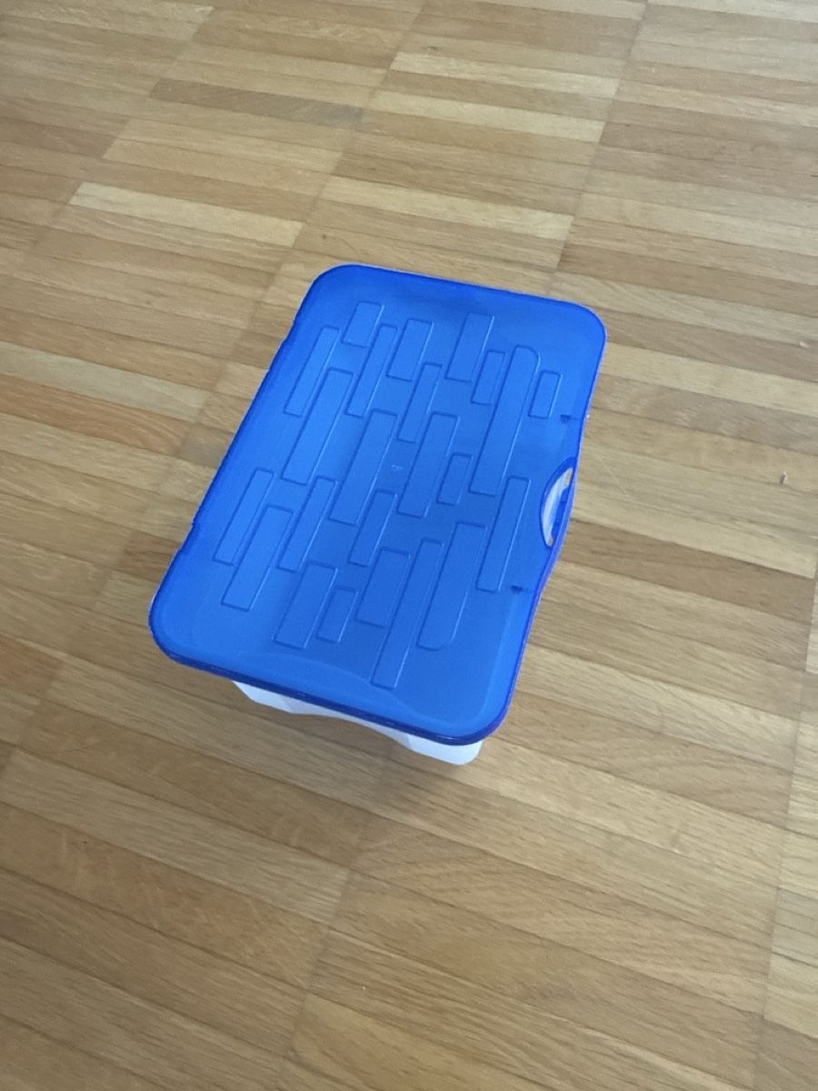 Contenitori & Simili: Aufbewahrungsbox transparent mit blauem Deckel – Usato da Zürich venduto da Hugsy30 1