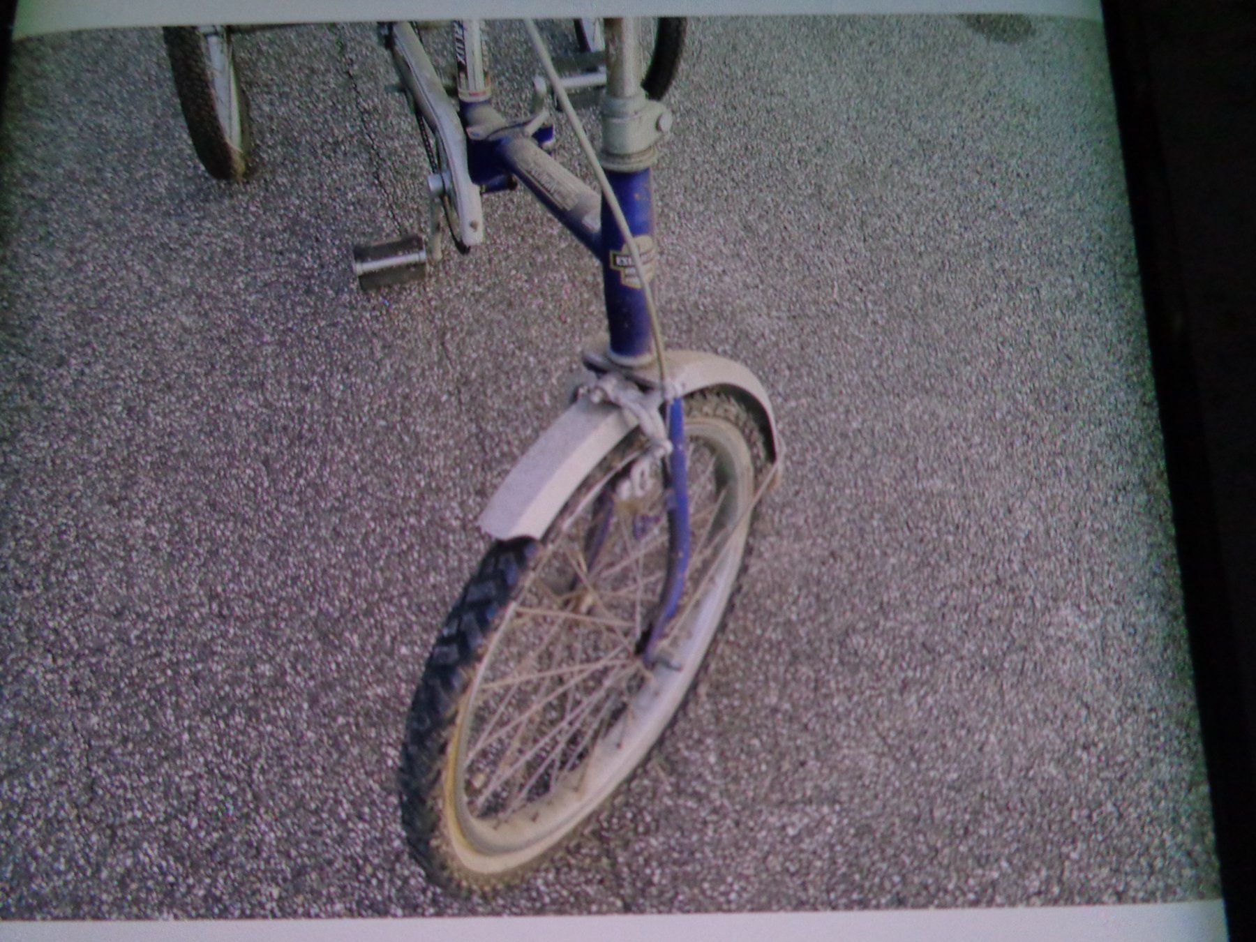Biciclette: Dreiradvelo ab Platz Superlux – Usato da Liestal venduto da Gecko16 7
