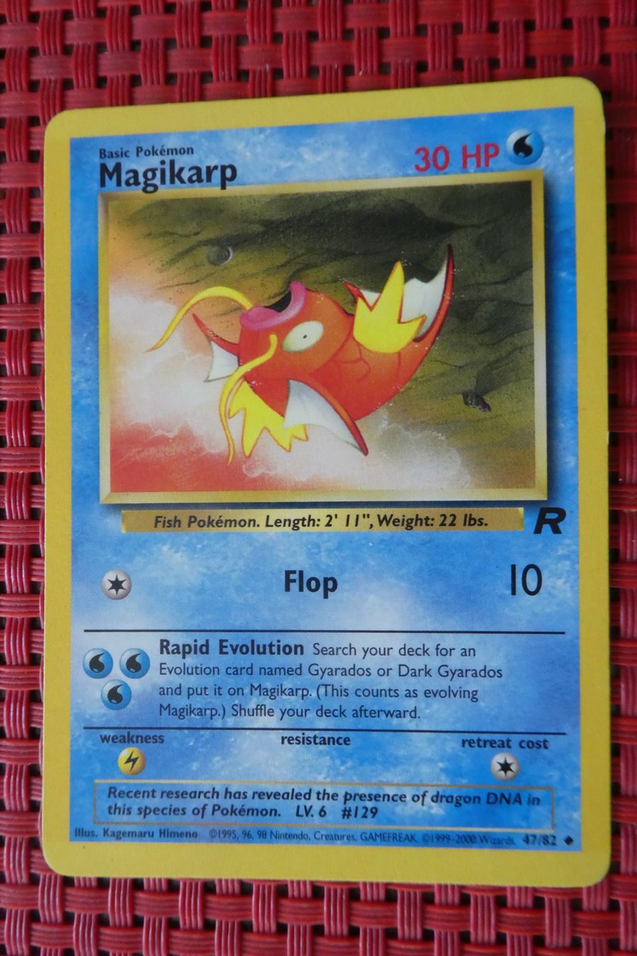 Pokémon Carte collezionabili: Pokémon MAGIKARP / Team Rocket – Usato da Au ZH venduto da Osterhase4