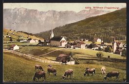 Wildhaus, Ortspartie mit Kirche, Toggenb