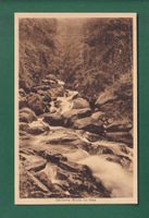 STEINERNE RENNE im Harz