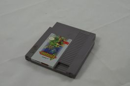 Castlevania NES Spiel
