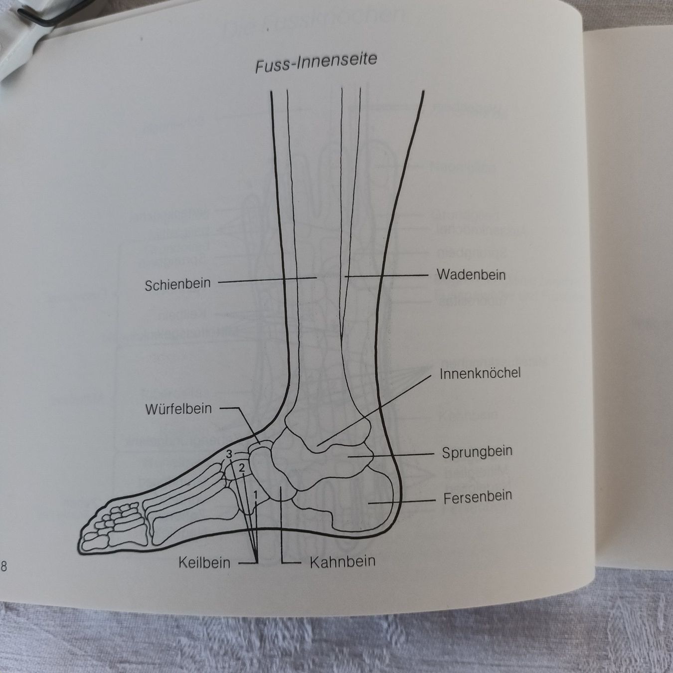 Libri: Fusssprache Reflexzonenmassage   Erik Jönsson – Usato da Bäretswil venduto da ricoric 4