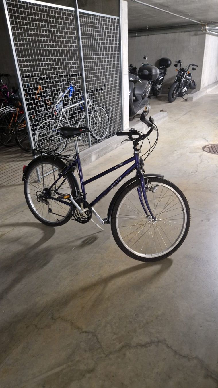 Cilo Biciclette: Damenfahrrad Clio – Difettoso da Trimbach venduto da Babsi1969 1