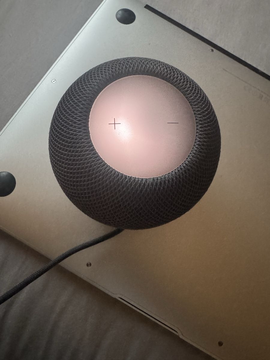 Apple Casse acustiche: HomePod mini Apple gris sidéral -  – Usato da Biel/Bienne venduto da Baol1 3