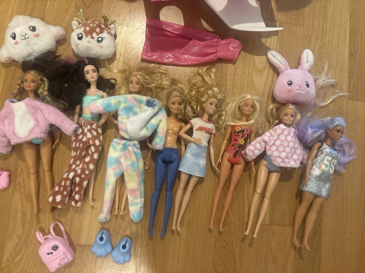 Bambole: Barbie Set inkl Flugzeug  – Usato da Zürich venduto da Reto82 1