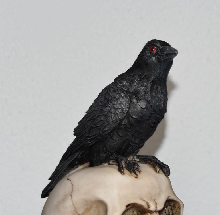 Statuette: Totenkopf mit Rabe – Nuovo e nell'imballaggio originale da Menziken venduto da mrpaedu 1