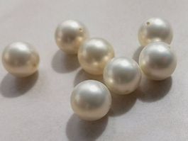 7 Muschelkern Perlen, weiss