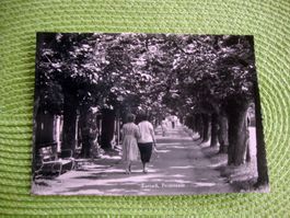 Zurzach Promenade / Promenadestrasse AK ungelaufen