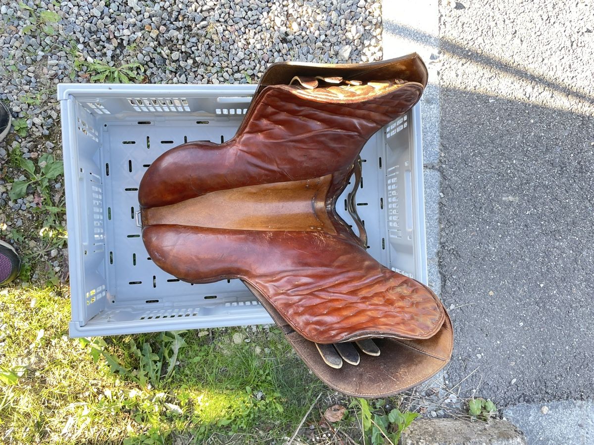 Selle & Accessori: Einfacher Reitsattel – Usato da Ueken venduto da Kamel09 3