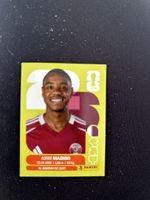 Panini QAT 11