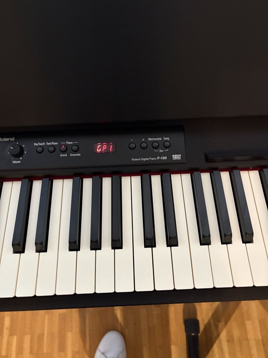Roland Strumenti musicali: Piano Digital F-120 – Usato da Geneve venduto da hvieira 3