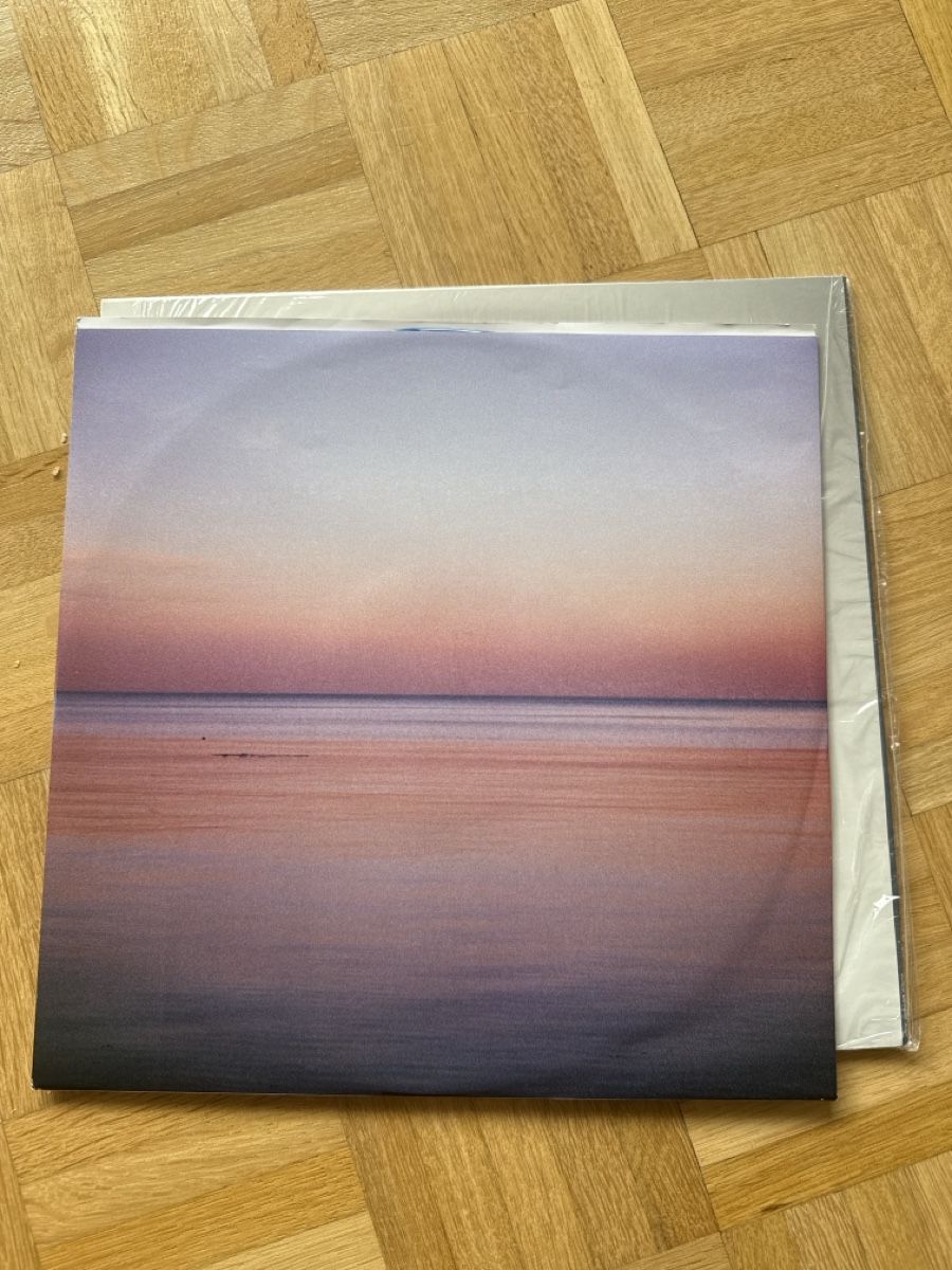 Dischi in vinile: Whitney - Light Upon the Lake LP Blue – Usato da St-Légier-Chiésaz venduto da My_favorite_shop 2