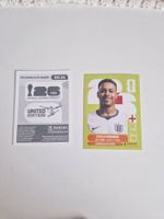 Panini Sticker ENG14