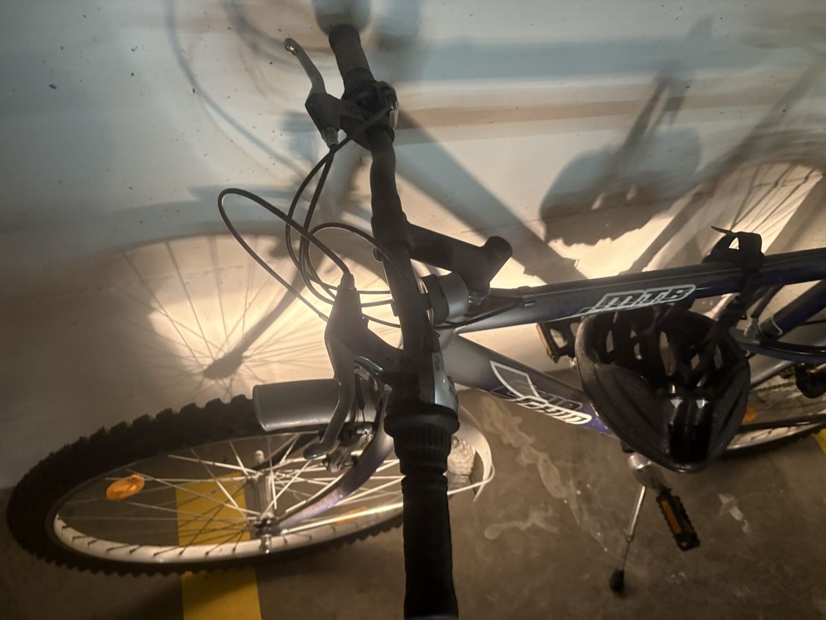Biciclette: Gepflegtes Mountainbike – Usato da Zürich venduto da Orionos 4