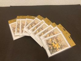 Gutscheinkarten mit Couvert, 50 Stück ( 10 x 5 Stück )