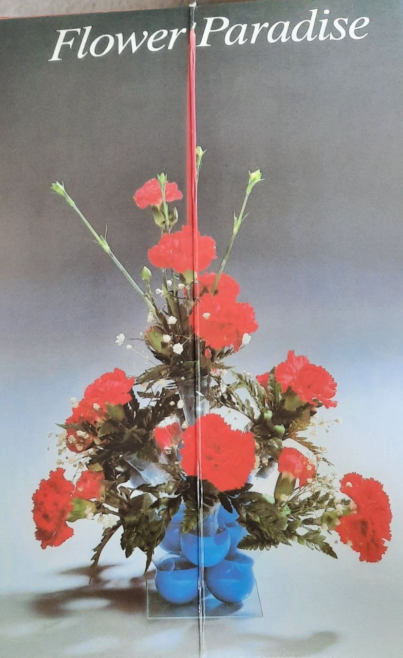 Vase & Récipients: Vases superposables – Neuf avec emballage d'origine à Cornaux NE par petitpied