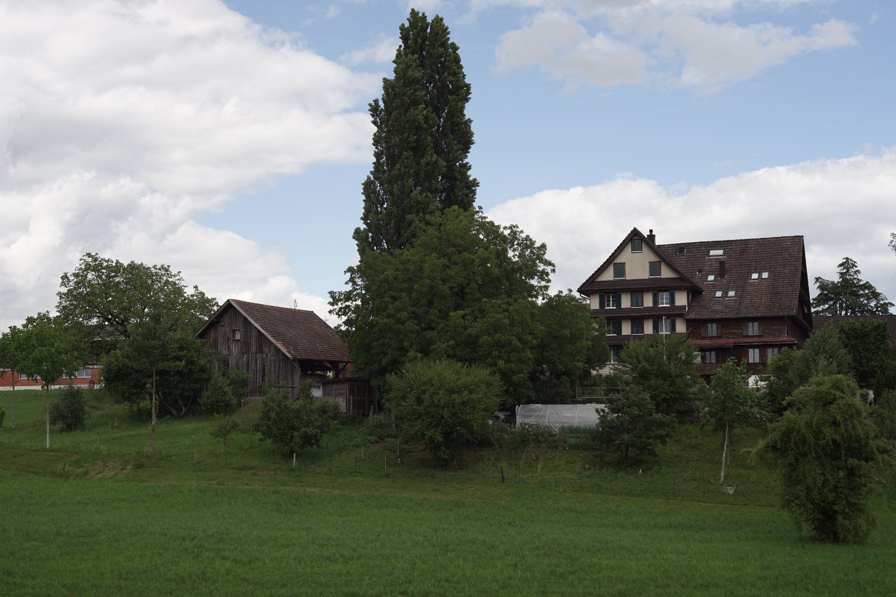 Obiettivi: Carenar 55mm f1.7 m42 – Usato da Steinhausen venduto da joe_9htr 8