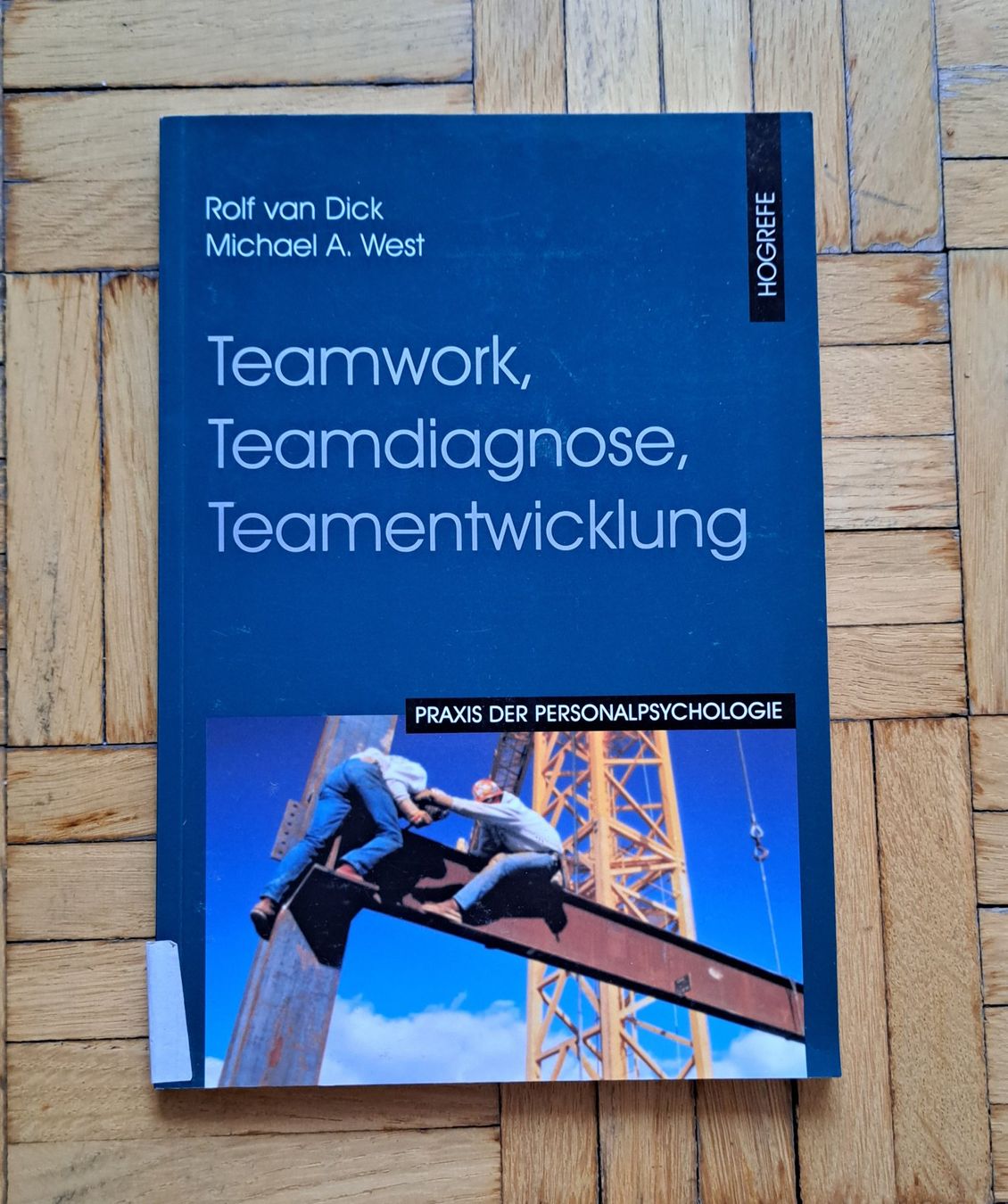 Libri: Teamwork, Teamdiagnose, Teamentwicklung. – Usato da Zürich venduto da nic_dgn5