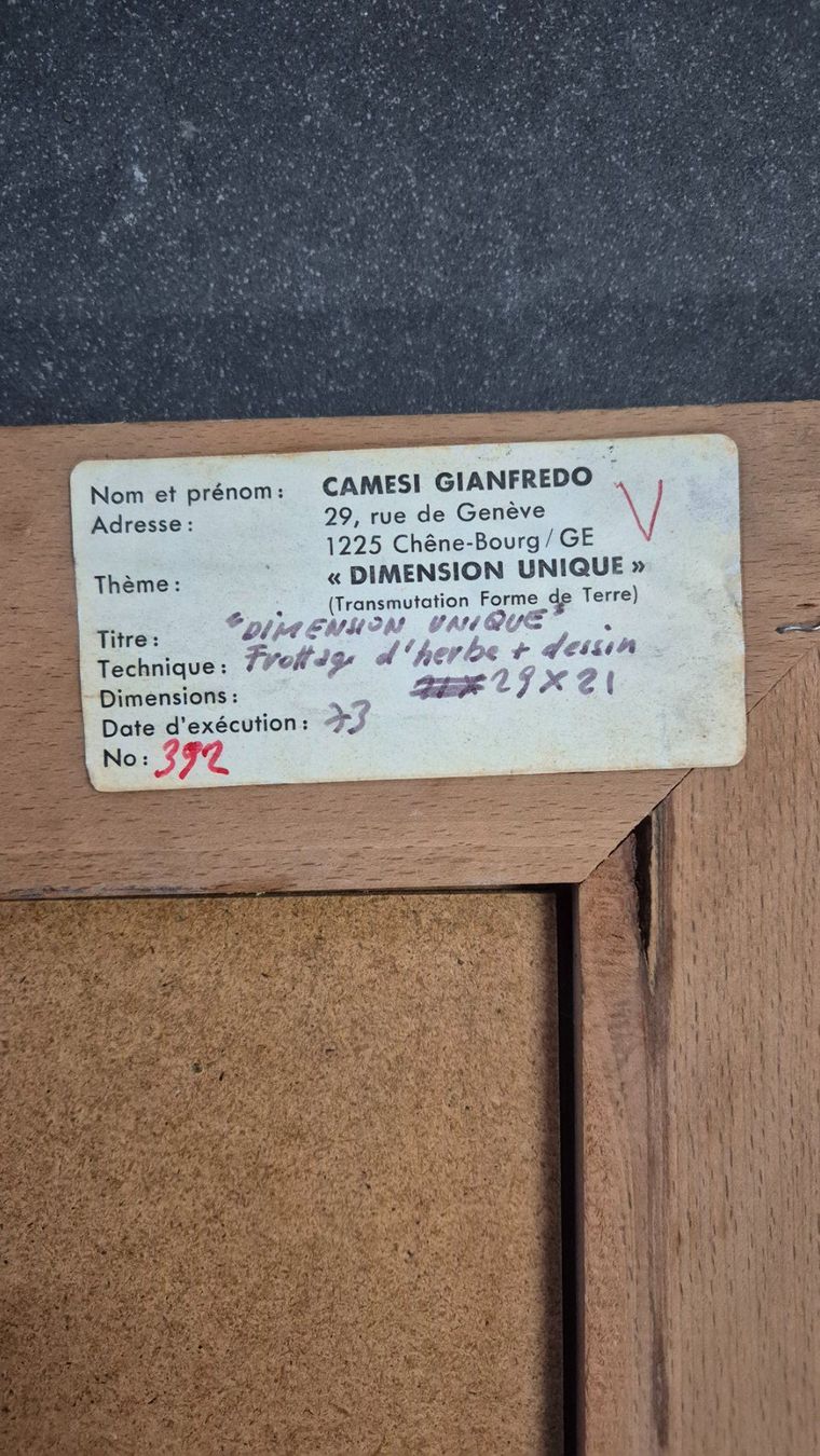 Gemälde: Camesi Gianfredo "DIMENSION UNIQUE" mit Rahmen – Gebraucht aus Lömmenschwil von wla750 2