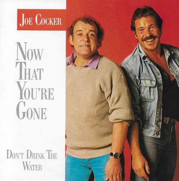 Dischi in vinile: Cocker Joe: Now That You're Gone 7" – Usato da Steinhausen venduto da Vilivinili
