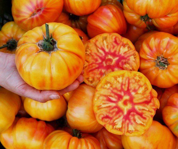Pflanzen & Samen: German Gold BIO - Fleischtomate - 15 Samen – Neu und originalverpackt aus Sumiswald von Cham14559 1