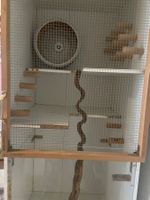 Massiver Degu-/Nagerkäfig mit Brändi-Laufrad auf