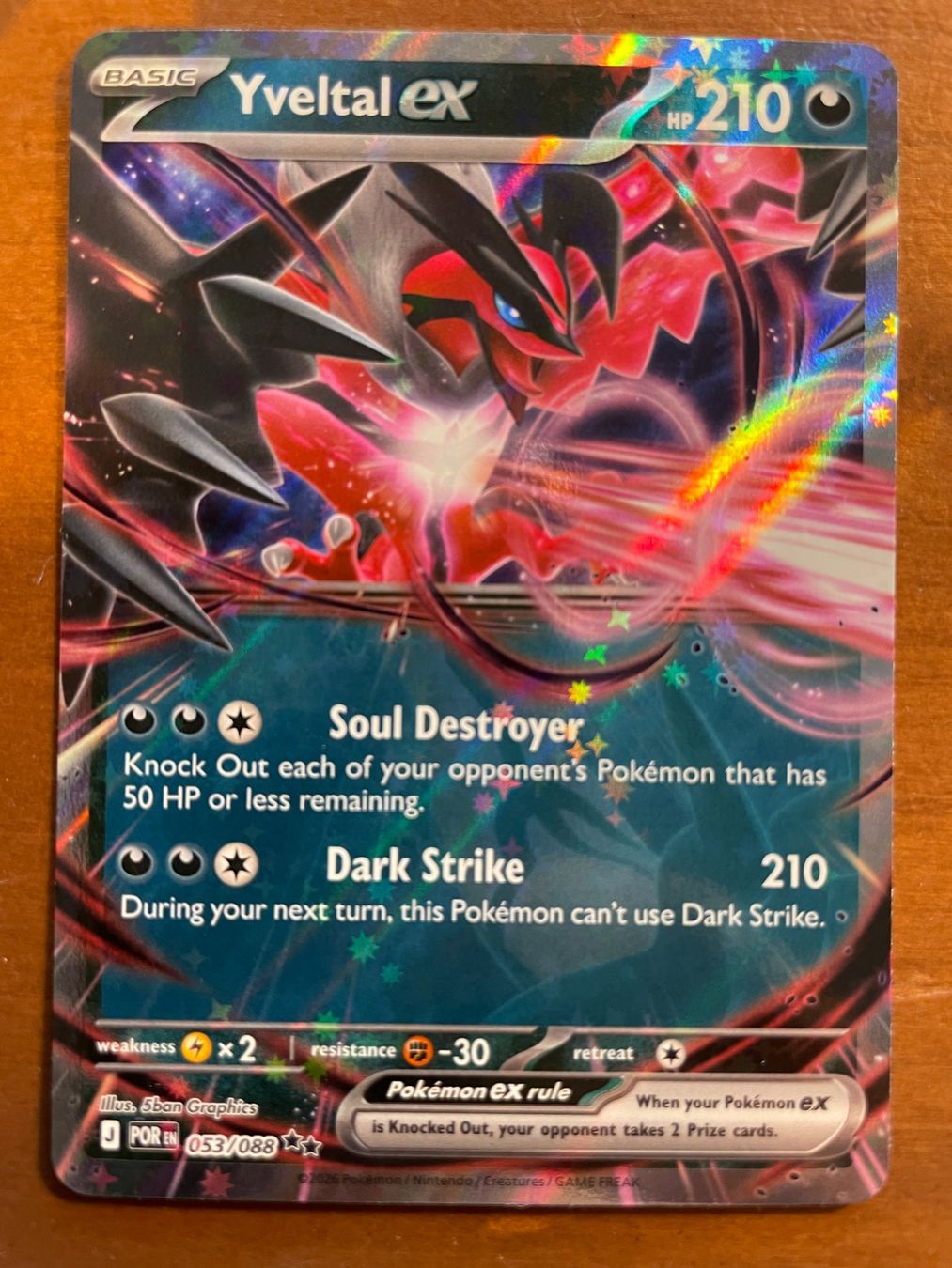 Pokémon Carte collezionabili: Pokemon Yveltal eX (Versand gratis) – Nuovo (secondo la descrizione) da Chur venduto da Angerson