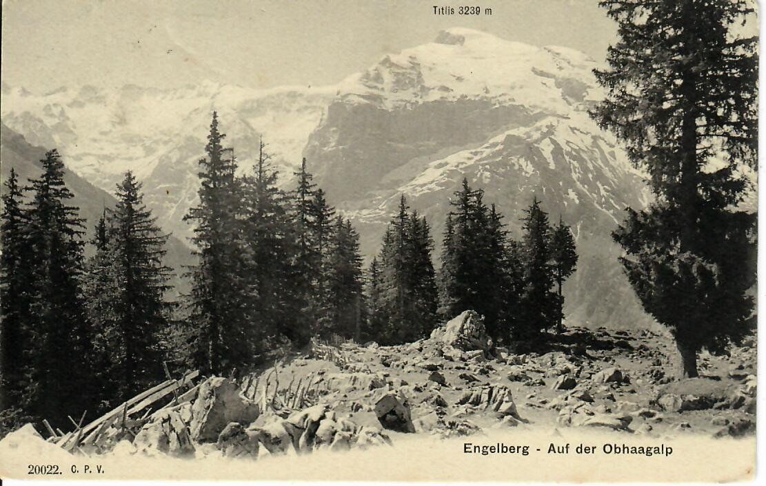 Cartoline postali: Engelberg - auf der Obhaagalp 1908 – Usato da Hochdorf venduto da Ziegel-16